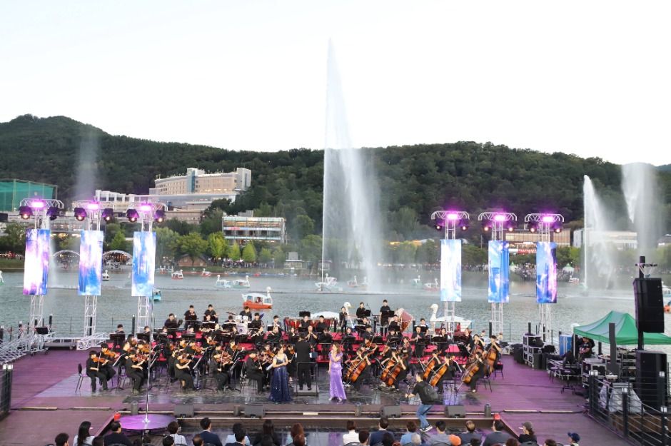 Suseong Light Art Festival (수성빛예술제)