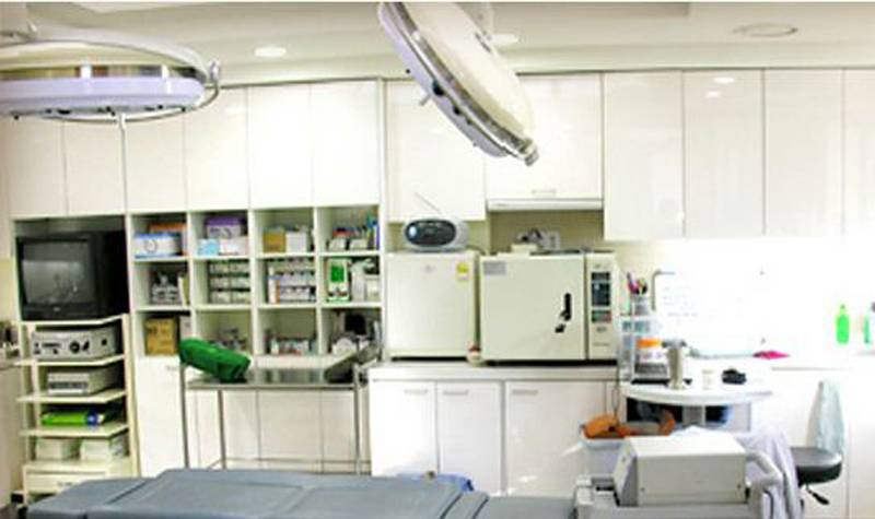 Dream Plastic Surgery